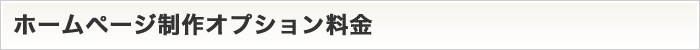 ホームページ制作オプション料金